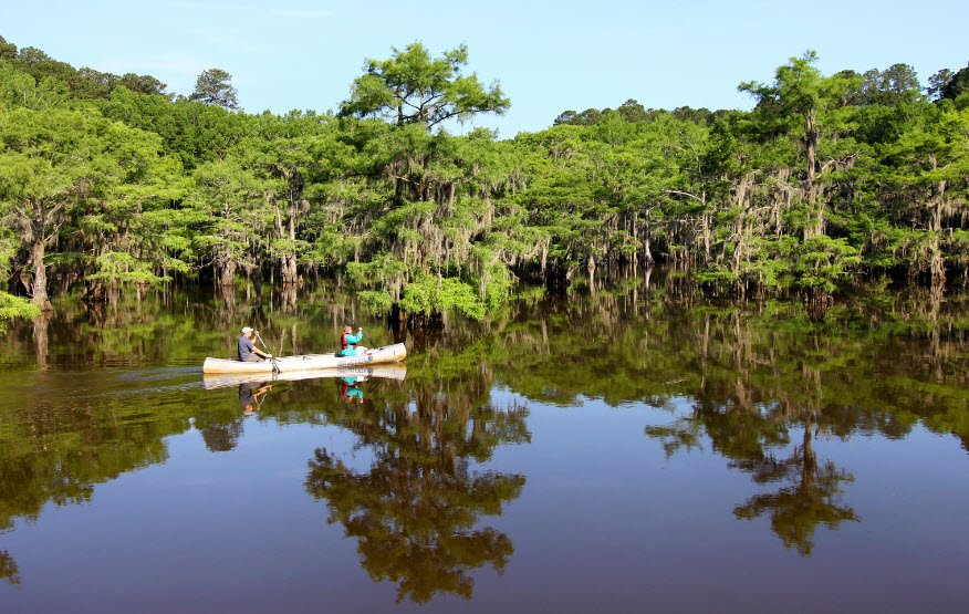 Caddo Lake State Park